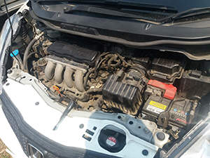 Ремонт двигателя (ДВС) Honda Fit: фото работ автосервиса ДжапСервис в Москве №2 Ремонт двигателя (ДВС) Honda Fit: фото работ автосервиса ДжапСервис в Москве №2
